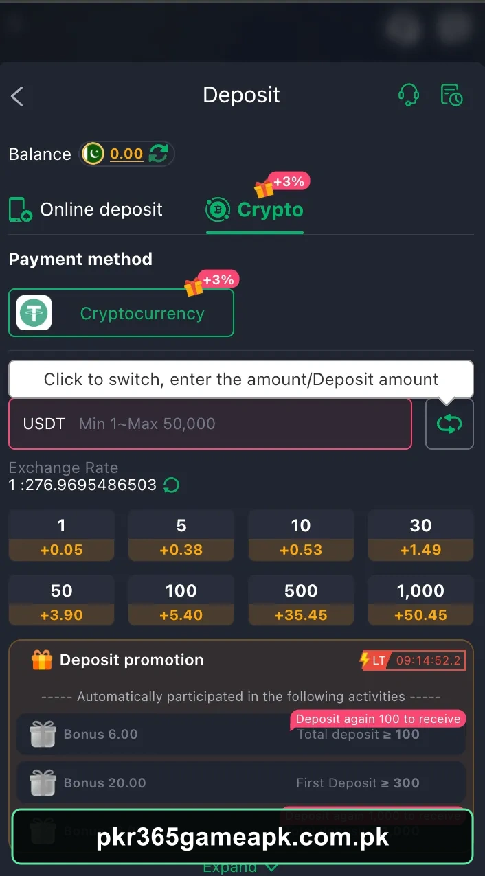 PKR365 Game cryptocurrency deposit screen